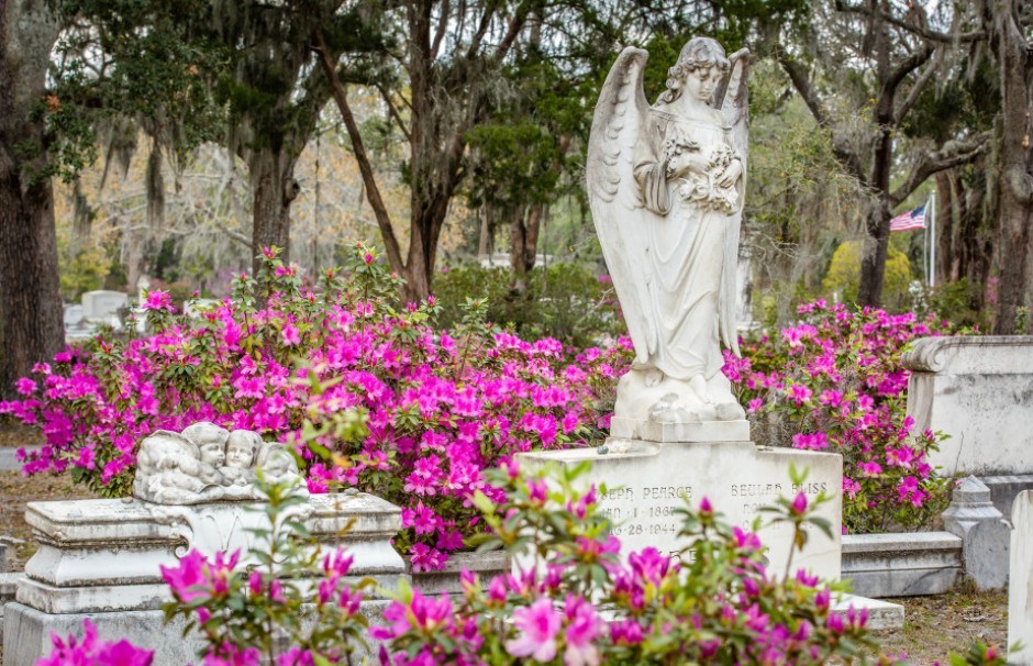 Visit the Bonaventure Cemetery
